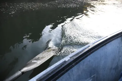 DSC_0307 (Large).JPG